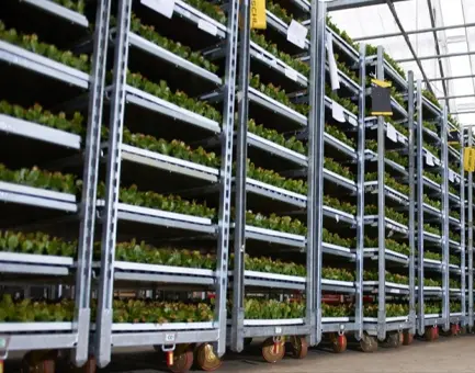 Greenhouse Trolley Cart