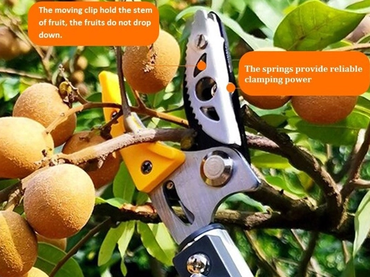 Fruit Picking Tool