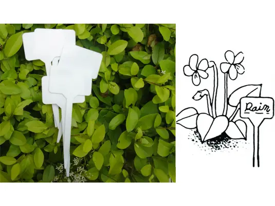 Plant Labels