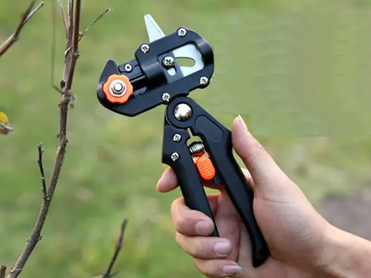 Grafting Tools