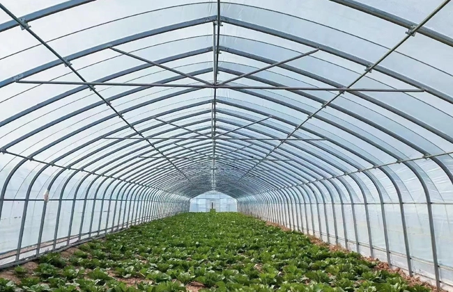Greenhouse