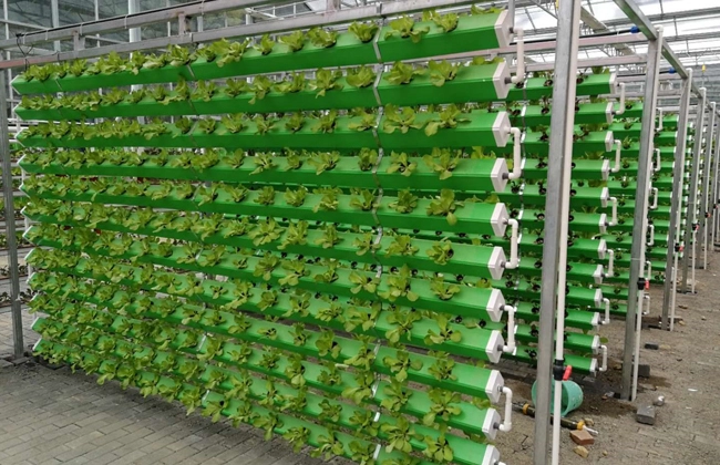 Vertical NFT Hydroponic System Project