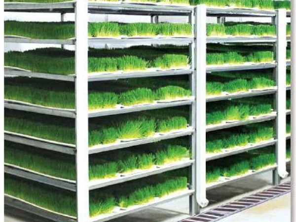 Hydroponic Fodder System