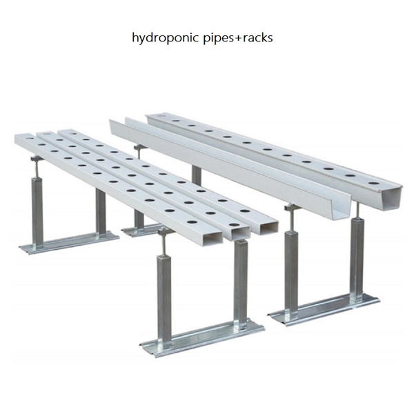 hydroponics-nft-setup