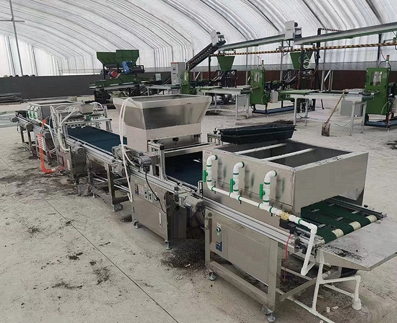 Project 7 Automatic Seeder For Seedling Trays Cultivating