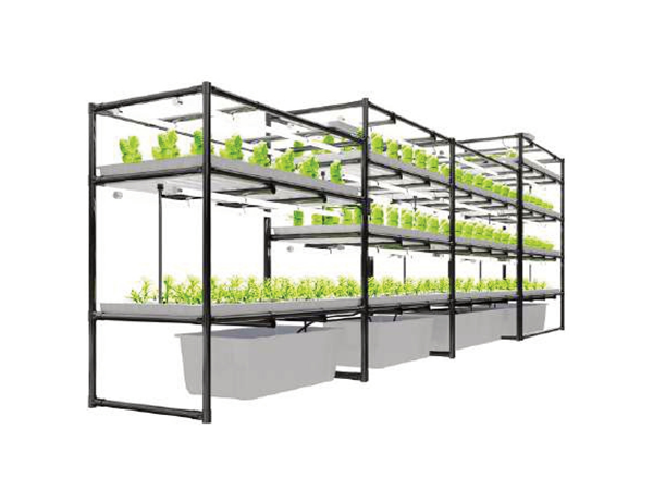 Vertical Ebb And Flow System