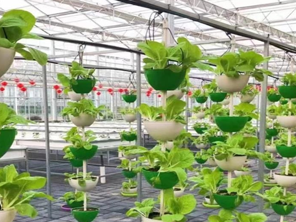 Column Trough Planter