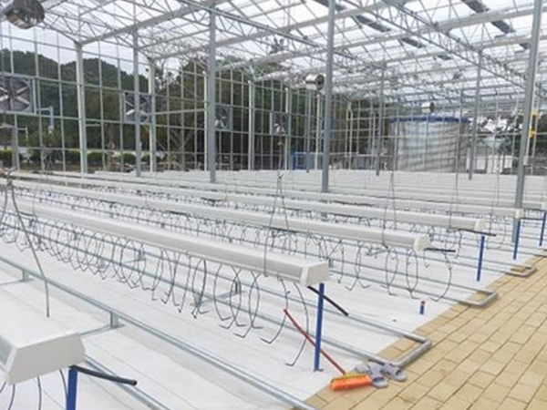 Hanging Trough Planter