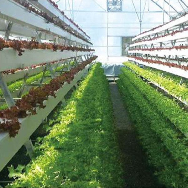 hydroponic fodder system design