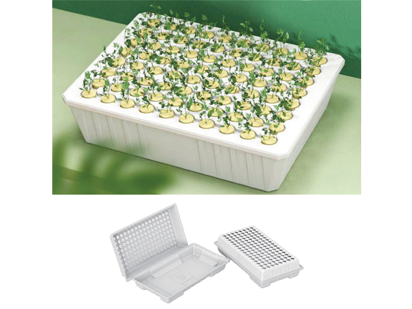 Hydroponic Propagator