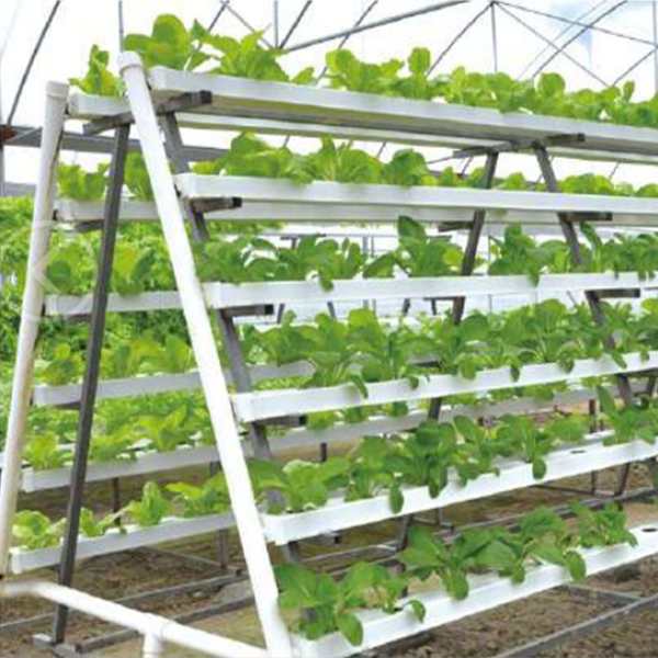 indoor fodder system