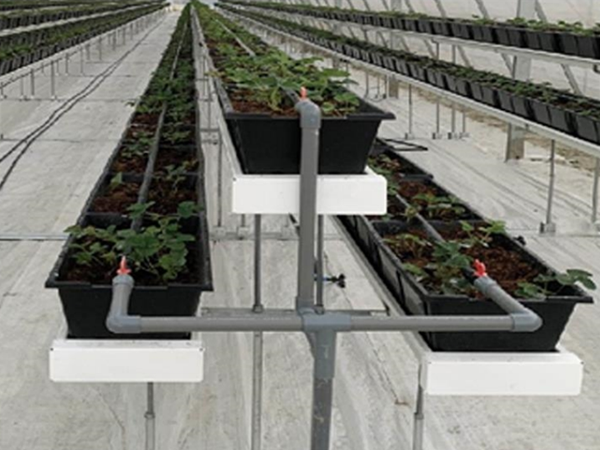 Triangle Trough Planter