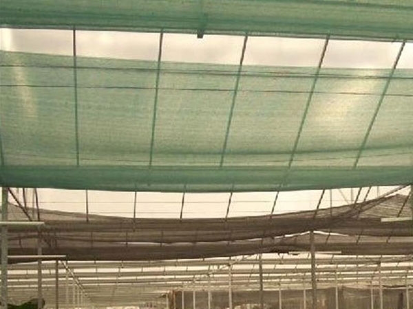 Shade Netting