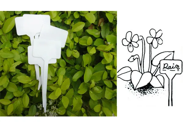 Plant Labels
