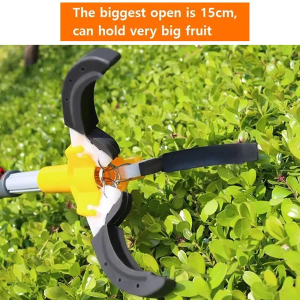 fruit picker definition