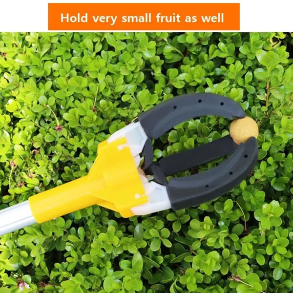 fruit picker meaning