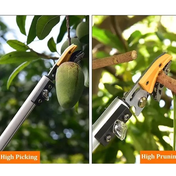 fruit picking scissors suppliers