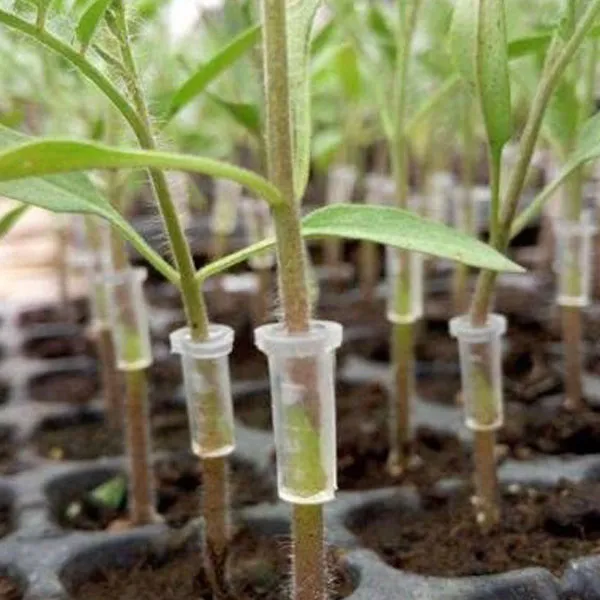 grafting clips manufacturers