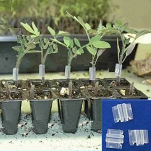 grafting clips suppliers