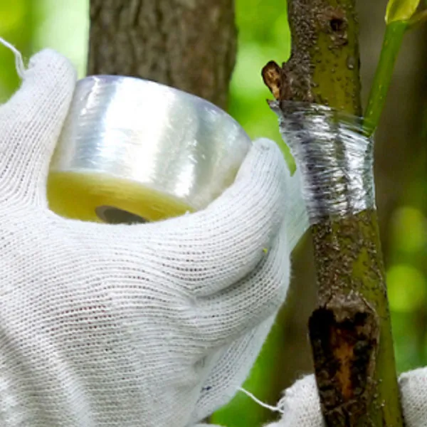 grafting tape factory