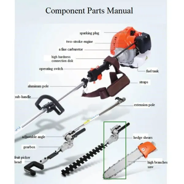 olive picker exporter