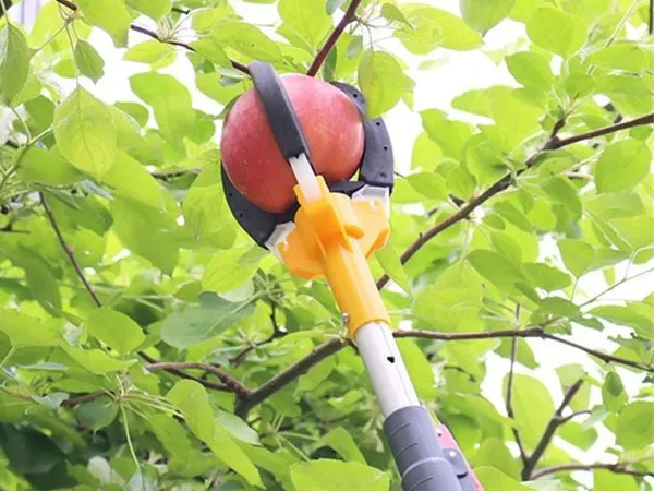 Fruit Picker