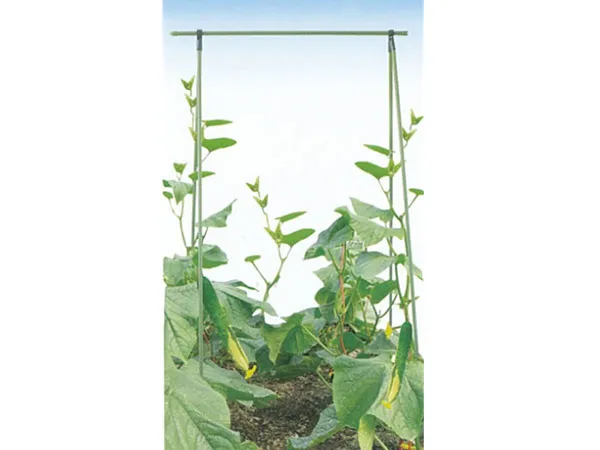 Climbing Plant Support Stakes