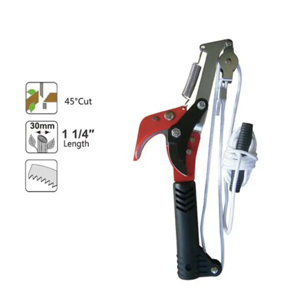 clippers for cutting branches