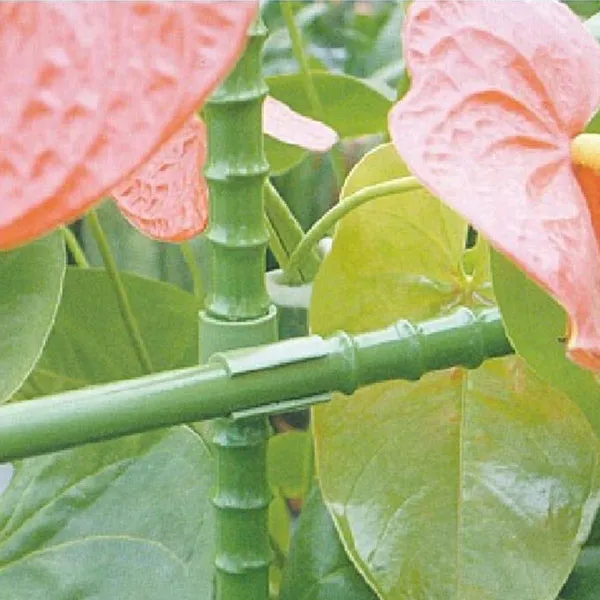 garden rods for plants