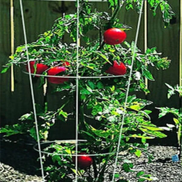 garden stakes for tomato plants