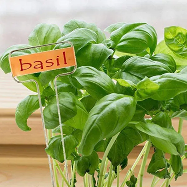 metal vegetable markers