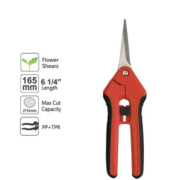 pruning shears meaning