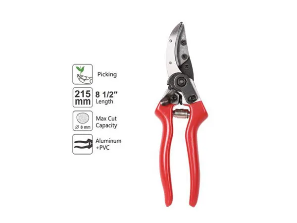 Pruning Shears