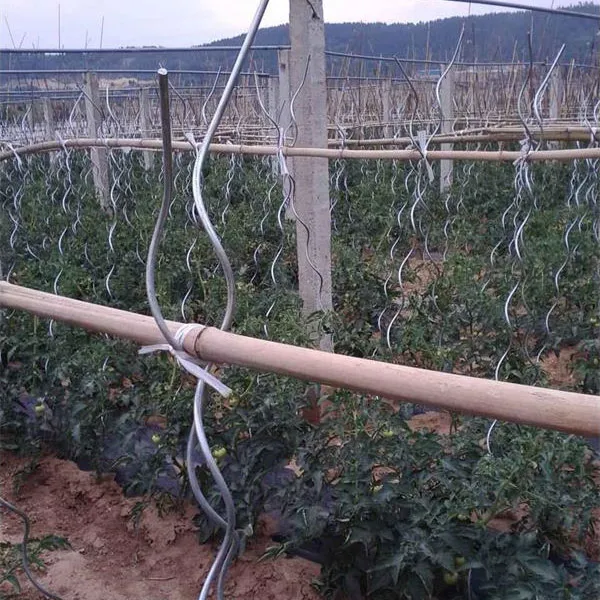 tomato stakes for sale