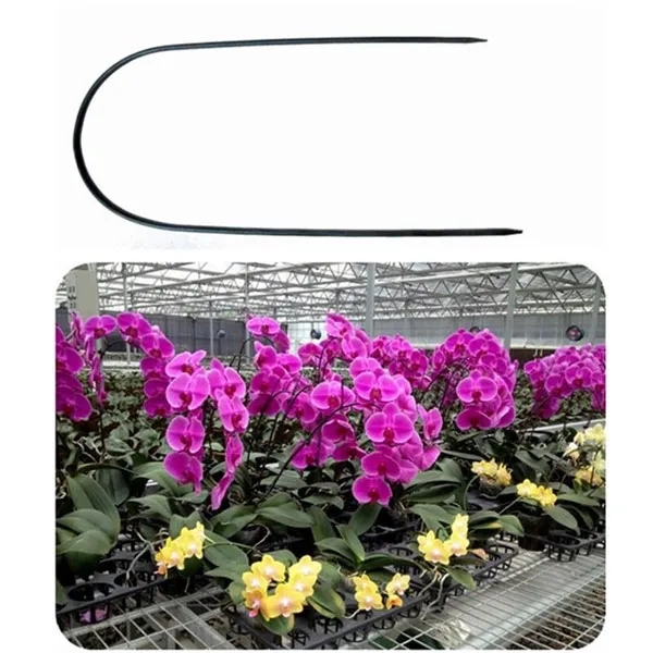 vegetable plant stakes