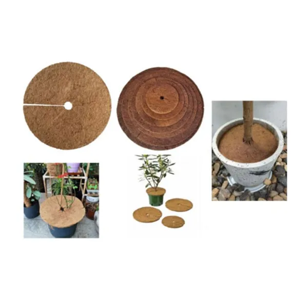 biodegradable seedling pots manufacturer