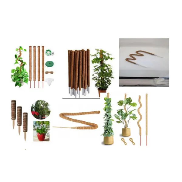 biodegradable seedling pots oem
