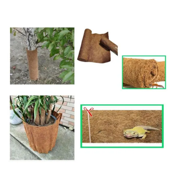 biodegradable seedling pots supplier