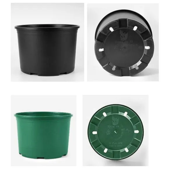 plants for round pots