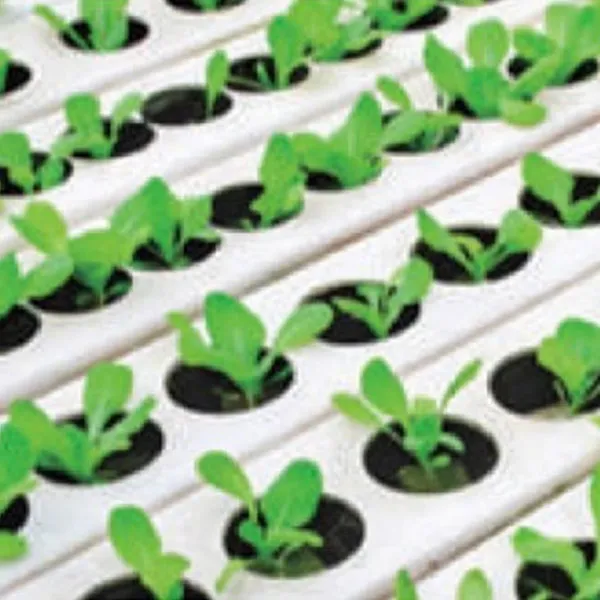 sprouting tray exporter