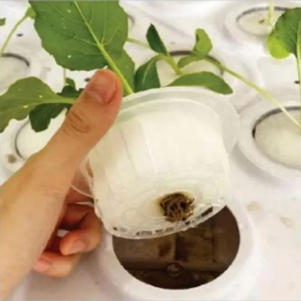 sprouting tray factory