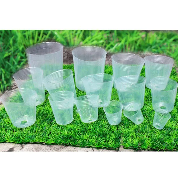 transparent seedling pots manufacturer