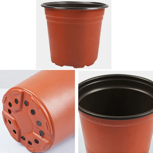 two colored seedling pots factory