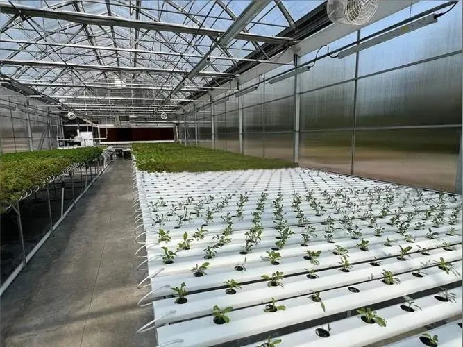JY's NFT Hydroponic System Design