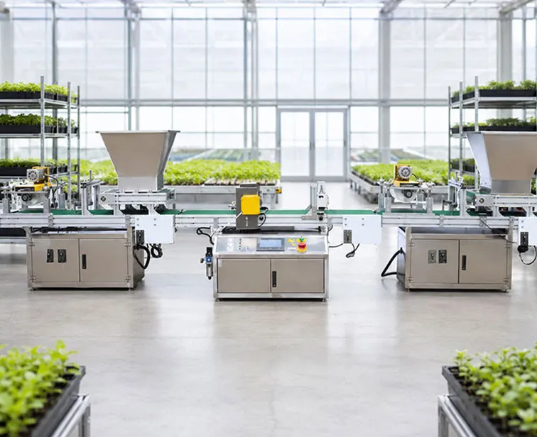 Automatic Tray Seeder Buying Guide: Capacity, Tray Size and Seed Types
